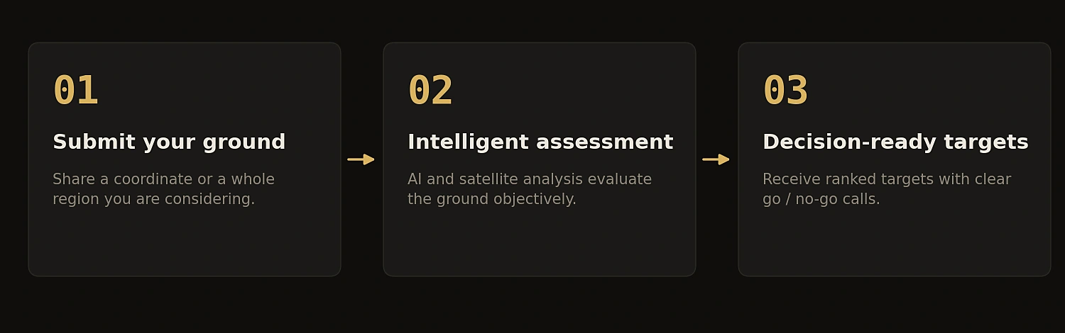 Three steps: submit ground, assessment, decision-ready targets.